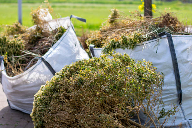Same-Day Junk Removal Services in Sullivan, IL
